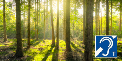 Vortrag: Achtsamkeit im Alter – für mehr Gelassenheit