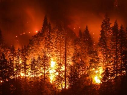 Feuerverbot im Wald und in Waldesnähe