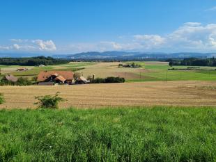 LANDSCHAFT DES JAHRES 2024