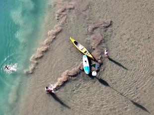 Öffentliches Schwimmen