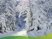 Gemeindeinfo 2026 / 01