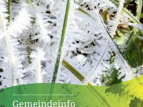 Gemeindeinfo 2025 / 1