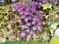 Gemeindeinfo 2025 / 2